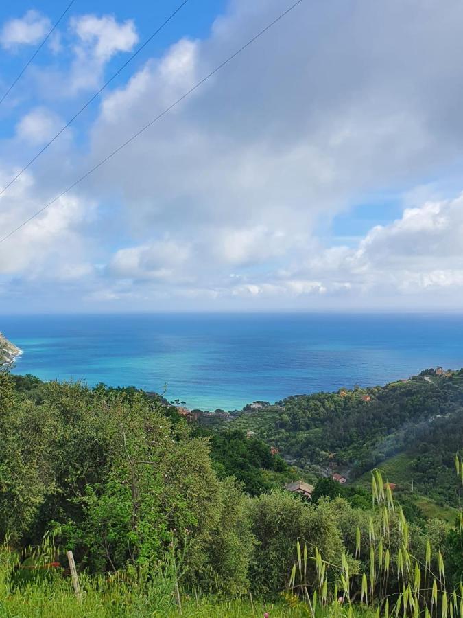 Ca Zelinda House Holiday Moneglia Exteriér fotografie