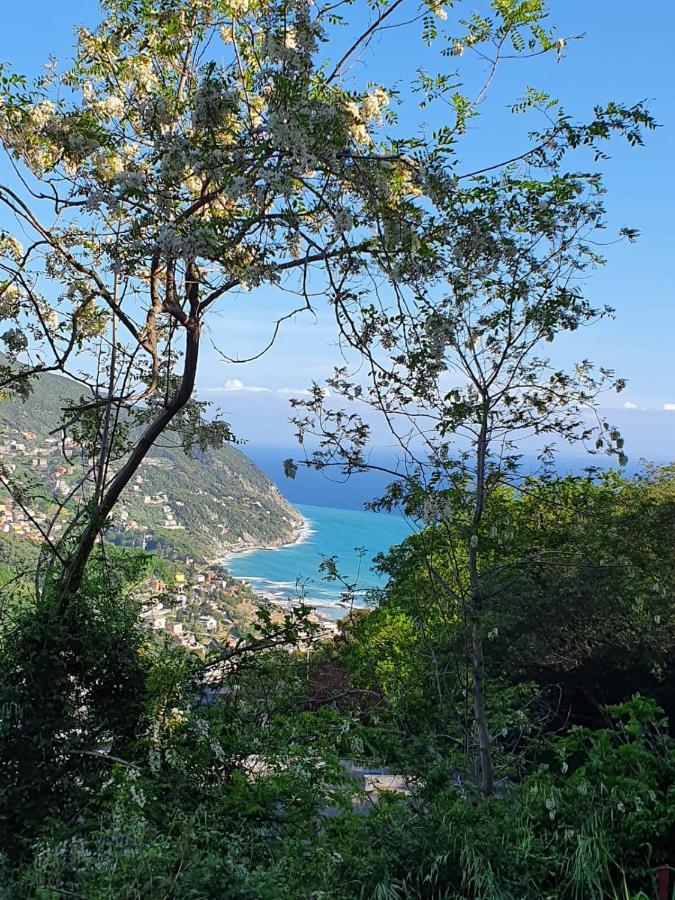 Ca Zelinda House Holiday Moneglia Exteriér fotografie